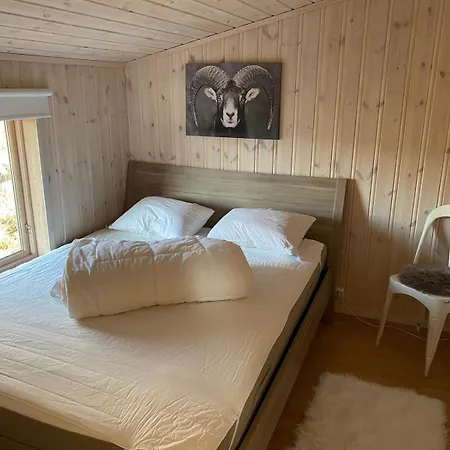 Nissedal- En Liten Perle Ved Nisser Nordbygda