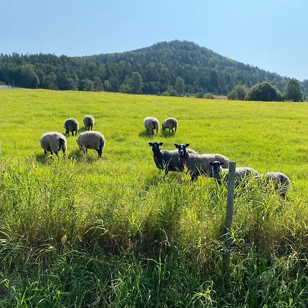 Nissedal- En Liten Perle Ved Nisser