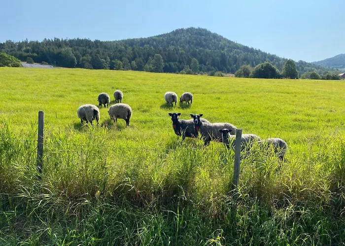 Nissedal- En Liten Perle Ved Nisser